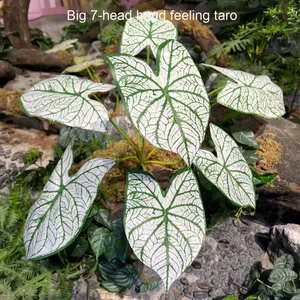 Colección de plantas verdes del fabricante de hojas de Filodendro de Monstera grandes de 7 cabezas para jardín, selva tropical, plantas artificiales, vegetación - Product Image 4