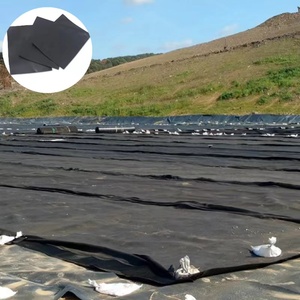 HDPE moderno 1mm Geomembrana Anti-UV LLDPE Material para piscifactoría estanque presa embalse lago Artificial humedal Parque paisaje - Product Image 5