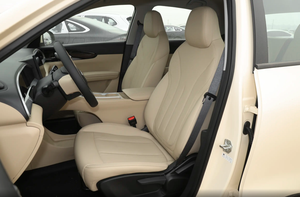 Geely <span class=keywords><strong>Galaxy</strong></span> Star Wish Edición Juvenil 310km - Product Image 5