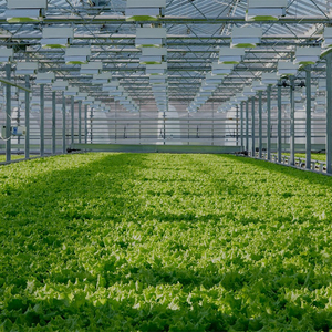 Invernadero de película plástica de varios tramos con estructura de acero, buen aislamiento térmico, resistente al viento y a la nieve, para el cultivo de vegetales y flores. - Product Image 3