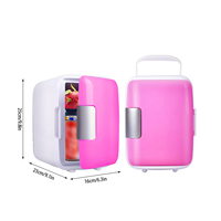 Mini réfrigérateur personnalisé 4L DC 12V pour voiture, camping, camping-car, réfrigérateur thermoélectrique d'extérieur portable et compact