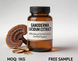 OEM Aceite de Esporas de Ganoderma Lucidum Orgánico (<span class=keywords><strong>Reshi</strong></span>/Reishi) Extracto Herbal a Granel de Cultivo Artificial - Product Image 3