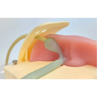 Modèle d'enseignement médical, simulateur d'endoscopie biliaire
