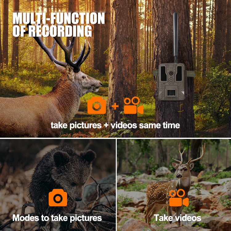 1080p Trail Camera 4G No Flash Outdoor Deer Game Camera MMS GPRS FTP Email Cellular Wildlife Trap