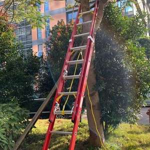 سلم تمديد من الألياف الزجاجية بطول 20 قدمًا، سلم متدرج من الألياف الزجاجية بسعة تحمل 300 رطل (150 كجم)، نوع IA L3022-28PT - Product Image 4