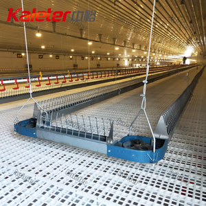 Sistema alimentador de existencias para padres de pollos de engorde, criador automático de gallinas, equipo agrícola, línea de alimentación de cadena de pollo - Product Image 6