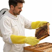 Imkerhandschuhe Gelb Belüftete Netzärmel Ziegenleder Imker-Schutzhandschuhe Anti-Bienenstich Langer Arm