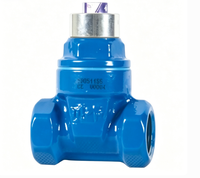 Vanne à opercule à joint souple, manuelle, avec verrouillage antivol crypté, raccord fileté pour entrée de compteur, PN16, OEM disponible, 1/2in-2in, pour alimentation en eau
