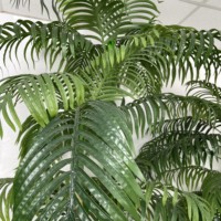Neue Künstliche Areca-Triandra-Bäume, Künstliche Pflanzen, Künstliche Bäume, Grünpflanzen im Topf für Hotel, Zuhause, Café