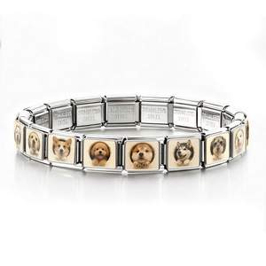 Linda Pulsera Modular Italiana para Perros, de Acero Inoxidable, Correa de Reloj Desmontable DIY, Cadena Unisex, Accesorio de Regalo - Product Image 5