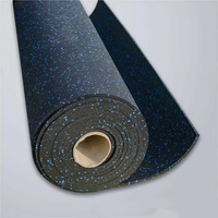 Tapis de sol en caoutchouc EPDM écologique HYROX pour salle de sport intérieure, enroulable, pour enfants, amortissant les chocs, personnalisable, unisexe, 1-3 ans