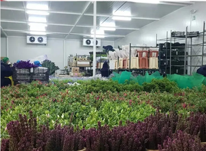 EMTH-Refroidisseur domestique commercial pour congélateur <span class=keywords><strong>Camara</strong></span> Fria préfabriqué avec porte à charnière froide-<span class=keywords><strong>Magasin</strong></span> de refroidissement - Product Image 5