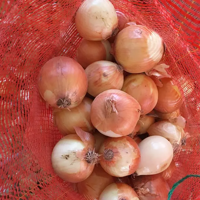 Hoge Kwaliteit Verse Ui Rood Geel Grote Uien Groothandel Beste Prijs