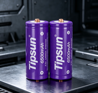 Sel Baterai LiFePO4 Tipsun 32700 3.2V 6500mAh 20.8Wh Lithium Iron yang Dapat Diisi Ulang