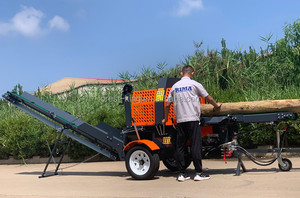 Máy tách gỗ nặng 30 tấn bằng rima, máy tách gỗ thủy lực để chế biến củi và sử dụng lâm nghiệp - Product Image 2