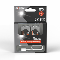 Batterie au lithium rechargeable USB-C PKCELL 9V 3700mAh pour télécommandes, jouets, outils électriques et appareils électroniques grand public, usine chinoise