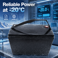 Batterie LiFePO4 VOLTRA 12,8V 100Ah 1280Wh avec boîtier ABS, sangle de transport, design portable pour camping-car, caravane, motorhome, 6000 cycles