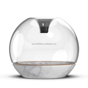 Terrario Vaso Mouthblown Geometrica Borosilicato <span class=keywords><strong>di</strong></span> <span class=keywords><strong>Vetro</strong></span> Piante Terrario Vaso <span class=keywords><strong>di</strong></span> <span class=keywords><strong>Vetro</strong></span> - Product Image 6