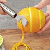 Citron Zester Outil Éplucheur D'agrumes Zester Râpe À Fruits En Acier Inoxydable Râpe Couteau À Éplucher Gadget De Cuisine Polyvalent