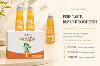 Yacon Gember Ginseng Gemengde Sap Gezonde Dagelijkse Ochtenddrank Zoet en Sappig Clean Label 280ml Karton Verpakking