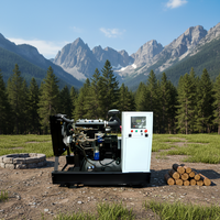 Générateur diesel Ope Frame 50Hz 10kw, type silencieux, démarrage automatique, ensemble ATS avec moteur YANGDONG pour usage domestique