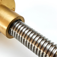 Vis à billes miniature en acier inoxydable de haute précision, type T, avec écrou à filetage laminé, longueur 100-5000 mm, petit moteur de roulement CNC 3D