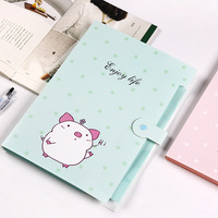 Porte-documents en plastique pour examens scolaires, organisateur multifonctionnel, fournitures de bureau, cadeau, design créatif