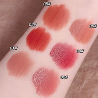 Gloss à lèvres en gros, tube en aluminium, fruit de capsicum, végétalien, effet repulpant, laque, marque privée, liquide, sans produits chimiques, waterproof, certifié CE 3