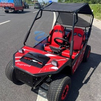Kart à pédales 2 places en promotion du fabricant, Buggy tout-terrain pour plage et dunes, Mini Jeep Cart, Dépôt spécial transport