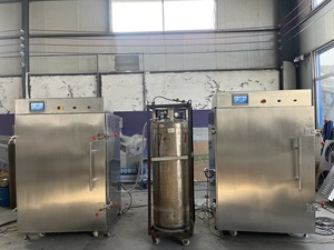 -196 ℃ Congelador de nitrógeno líquido de temperatura ultrabaja Congelador de nitrógeno líquido de mariscos comercial Congelación rápida de cinco minutos - Product Image 6