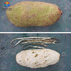 Machine à éplucher le jackfruit fournie par l'usine, assortie à une machine à dénoyauter et à demi-couper <span class=keywords><strong>2</strong></span> en 1 - Product Image 3