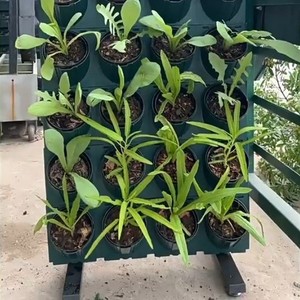 Scaffale Multistrato Verde in Plastica per Piante, Fiori e Ortaggi, Supporto da Pavimento per Balcone e Esterni, Mobile per Fiori da Parete per Casa e <span class=keywords><strong>Giardino</strong></span> - Product Image 4