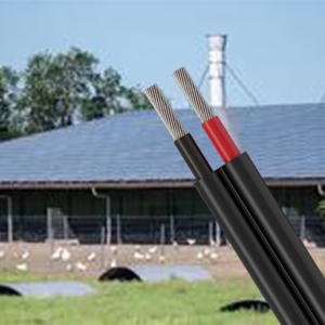 Câble photovoltaïque pour l'énergie solaire 90 ℃ température de fonctionnement matériau en cuivre étamé gaine XLPE 4mm 6mm 10mm diamètres - Product Image 5