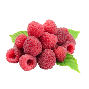 <span class=keywords><strong>Raspberry</strong></span> bột trái cây 99% <span class=keywords><strong>Raspberry</strong></span> nước trái cây & Bữa ăn thay thế bột cấp thực phẩm <span class=keywords><strong>100</strong></span> lưới trống bao bì - Product Image 4