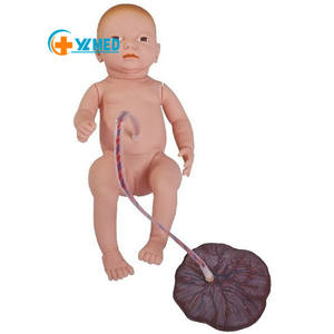 실물 크기 인간 신생아 훈련 모델 PVC 탯줄 태반 관리 모델 신생아 시뮬레이터-교육 교육 교육 아기를위한 - Product Image 1