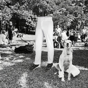 Novedad: Conjuntos de Pantalones de Béisbol Unisex Transpirables con Estampado por Sublimación Personalizado, Ropa Deportiva Lisa para Softbol, Corte Recortado - Product Image 3