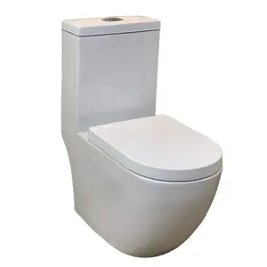 중국 전문 제조 세라믹 화이트 원피스 위생 화장실 홈