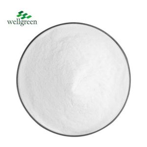 Fabrika doğrudan tedarik ücretsiz örnek doğal nane özü tozu nane tozu nane özü 99% mentol kristal - Product Image 1