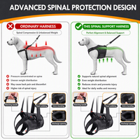 Harnais de Soutien Ergonomique pour Chien, en Polyester Durable et Respirant, pour la Rééducation de la Colonne Vertébrale et la Récupération de la Maladie Intervertebrale Discale (IVDD), Marque Personnalisée