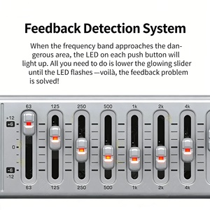 Ecualizador de Audio Profesional FBQ800, Ecualizador Gráfico Metálico Ultracompacto de 9 Bandas, Venta al por Mayor de Fábrica - Product Image 6