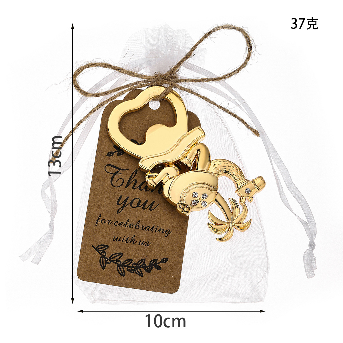 Camel - Costume