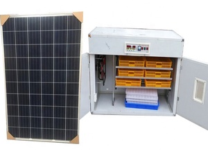 Lồng Ấp Trứng Năng Lượng Mặt Trời Cho Gia Cầm Nhà Sản Xuất Trung Quốc Pin Năng Lượng Mặt Trời 500 - Product Image 2