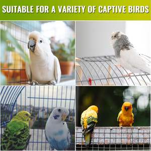 Bombilla Fluorescente Compacta <span class=keywords><strong>UVB</strong></span> 2.4 E26 para Aves y Reptiles, Lámpara <span class=keywords><strong>UVB</strong></span> para Jaula de Aves - Product Image 5