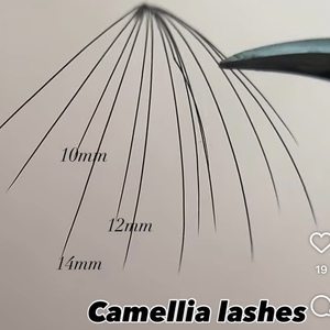 Extensions de <span class=keywords><strong>cils</strong></span> en camélia L M LC LD LB C D CC DD Curl 0.03 0.05 0.07mm en PBT coréen, naturelles, douces, faites à la main, pour un volume accru - Product Image 1