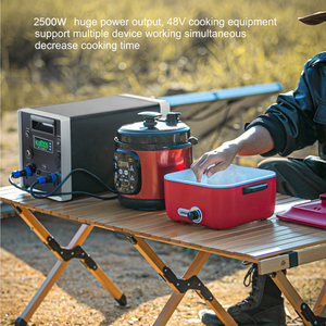 เครื่องกำเนิดไฟฟ้าพลังงานแสงอาทิตย์แบบพกพา 2500w พร้อมแบตเตอรี่ลิเธียม 48V/50Ah สถานีไฟฟ้าแบบพกพา - Product Image 5