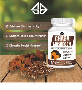 Suplemento de hongos Chaga OEM, certificado GMP, 60 cápsulas, apoyo para la salud inmunológica y digestiva de adultos, saludable - Product Image 2