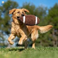 Jouet en peluche pour chien avec logo personnalisé, vente en gros OEM ODM, jouet en peluche pour animaux de compagnie sûr, résistant aux morsures, couineur, fabricant de jouets en peluche pour chiens personnalisés