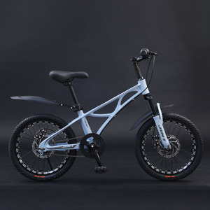Bicicleta Infantil JINT de 20 Pulgadas con Cuadro de Aleación de Magnesio, Una Velocidad, Amortiguación y Asiento Ajustable - Product Image 2