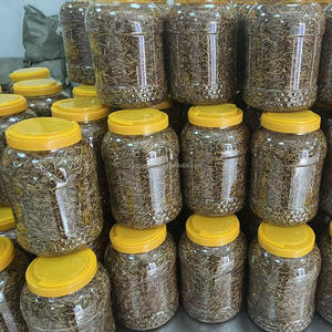 תולעים יבשים 600 גרם פינוק מזין לכלבים ערבה - Product Image 6