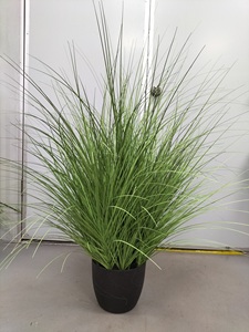 Cỏ Hành Nhân Tạo Cỏ Nhựa - Product Image 4